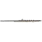 Jupiter Model Jaf1100xe Alto Flute With Curved And Straight Heads Sn Ed03395