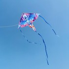 Colorful Dragon Kite Single Line Easy To Fly Beach Kite Blue