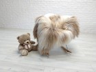 Icelandic Sheepskin Rug With Long Wool In Cream Beige And Soft Gray Tones 269 1