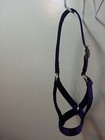 Cattle Halters Bull  Cow  Yearling  Calf  Newborn Nylon Halter Alabama Made 