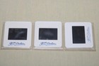 Consenting Adults - 3 Press Kit Slides Kevin Kline Mary Elizabeth Mastrantonio