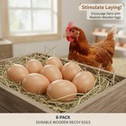 Fake Chicken Eggs Wooden Decoy For Coop  Wooden Eggs For Nesting Boxes 8 Pack