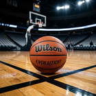 Wilson Evolution 29 5    Game Basketball Official Size Indoor Training Ball  new 