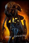 Sideshow Collectibles 400317 The Alien Warrior-mythos 17 5-in Statue  standard 