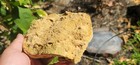 Fossil Leave In Travertine Austria Pleistocene