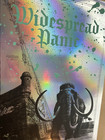 Authentic Widespread Panic Rainbow Foil Ap Poster St  Augustine Fl 2025 S n   25