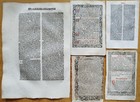 7 Early Printed Post Incunable Leaves  g  - 1495 1550