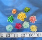   Fish Scales   50    Scalloped   Creme ivory  shellcraft  Sailor s Valentines  