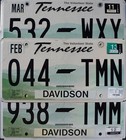 Tennessee License Plates Rolling Hills Green Flat License Plate Tags Random  