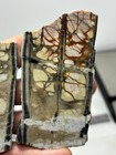 Picasso Marble  jasper  Slabs Cabbing Lapidary Utah Combo Ship Avail