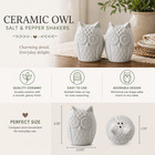 Owl Salt Pepper Shaker Set White Ceramic Vintage Kitchen Decor Gift