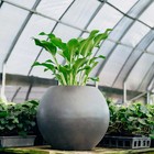 Ash   Ember 16  Round Sphere Charcoal Planter  14 Gal Fiberstone Composite