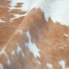 8x7 Feet   Real Beige   White Cowhide Rug Natural Hair Cowhides Cow Hide Skin