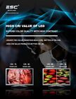 Dental Surgical Headlight Ent Medical Headlamp Led 10w Wireless Lights For Loupe