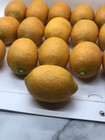 Lot Of 16 Artificial Lemons Orange Appearance Faux Fruit Realistic Bowl Decor