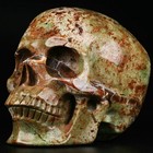 5 0  Green Opal Carved Crystal Skull  Super Realistic  Crystal Healing