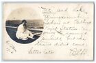 1906 Woman Suicide Dark Morbid Macabre Humor Boston Ma Rppc Photo Postcard