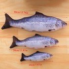 Realistic Interactive Fish Cat Kicker Crazy Pet Toy Catnip Toys Chew Toy