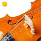 New 1 2 3 4 4 4 Basswood Acoustic Cello W  Bag bow rosin bridge