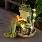 Solar Garden Statues Miniature Frog Figurine Thanksgiving Decor With Succulen   