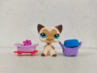 Littlest Pet Shop Figure Yellow Short Hair Cat  3573 W accessories New Lps Toy