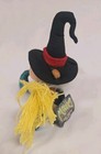 Vtg 1999 Grisly Grizzlies Meanies Halloween Bearwitched Plush Beanie Monster 6 