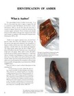 Amber Collector Guide - Jewelry  Mineral   Vintage  Id  History  Specimens  More