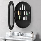 Oval Cabinet Mirror  Bathroom Wall Storage Cabinet Mirror  Mirror Cabinet