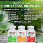 Hormex Rooting Powder  1  3  8 Pack - For Easy To Difficult To Root Plants - Iba