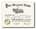 Novelty Birth Certificate With Raised Gold Foil Seal Personalized