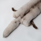 Real Tanned Blue Fox Hide Fur Pelt Crafts Real Fox Skin Fur Taxidermy Decor G   