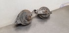 1959 Cadillac Sedan Deville Horn Set