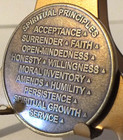 Alcoholic Recovery Principles Medallion Coin Medal Token Aa Anonymous -12 Steps