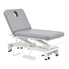 Full Electrical Spa Bed Facial Beauty Massage Table Doctor Exam Medical Spa Bed