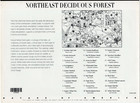 Scott  3899 Northeast Deciduous Forest  nature Series  Sheet Of 10 Stamps - Mnh