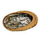 Antique Northwest Coast Native American Indian Makah Basket Abalone Shell 1800s 