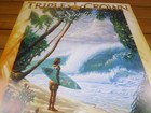 Original Bill Ogden Surf Poster Surfing Surfer Art 1994 Hawaii Triple Crown