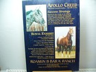 Vintage Appaloosa News Magazine Original April 1987