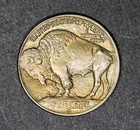 1913 D Type 1 Buffalo Nickel     Choice  unc      Great Toning