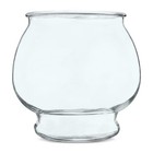 1 Gallon Glass Fish Bowl Footed Clear Round Aquarium Betta Goldfish Tank