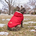 Vecomfy Warm Dog Coats With Hoodie winter Jackets For Small Small  Red