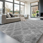 Shaggy Fluffy Area Rugs Grey Lantern Carpets For Bedroom Living Large Room 