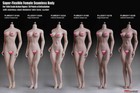 1 6 Seamless Flexible Female Body Tbleague Phicen Action Figure F 12  Doll Model