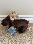 Ganz Webkinz Reindeer Plush Stuffed Animal 2006 New With Sealed Code Hm135