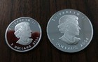 2 Coin Lot Of 2004 Canada Arctic Fox Proof Set Half Ounce And Quarter Oz Silver