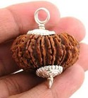 18 Mukhi Rudraksha Beads  Natural Original Nepal Seed  34 30mm 