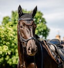 Horseware Newmarket Ear Bonnet - Whitney Gold