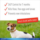    adams Plus Flea   Tick Collar For Small Dogs   Puppies Up To 7 Month Protection