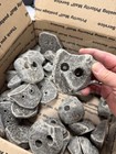 33 Kids Rock Climbing Wall Holds  Screw On Climbing Holds  Made In The U s a
