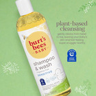 Baby Shampoo   Wash  Fragrance Free   Tear Free Baby Soap - 12 Ounce Bottle  Pac